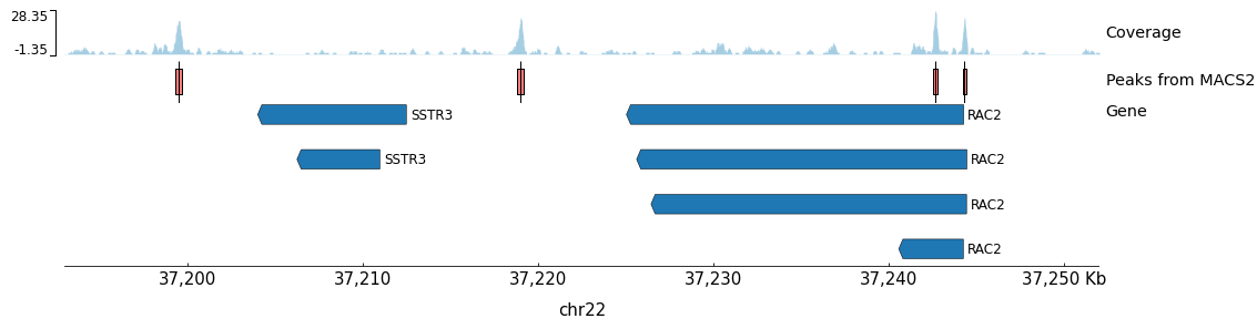 ATAC-Seq Peak Visualization